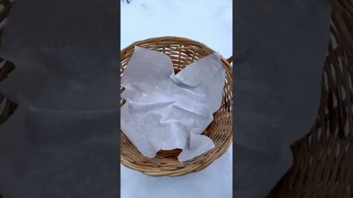 Broccoli Harvesting In Winter #shorts #gardening #gardeningtips #broccoli