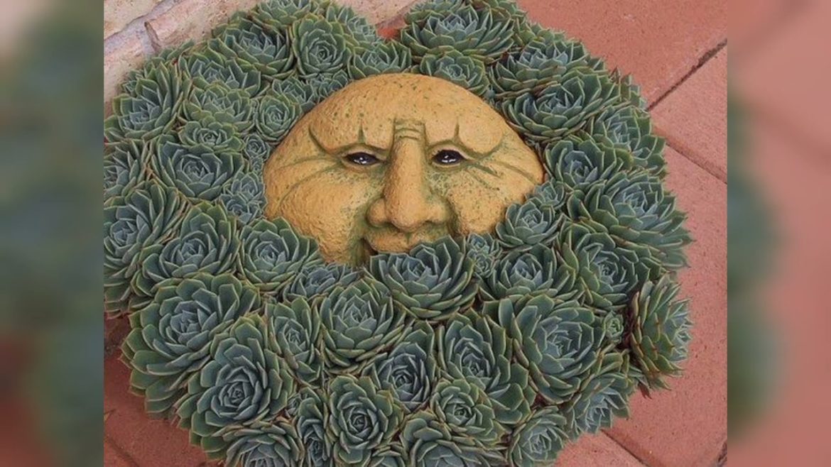 funny Garden Ideas funny Garden Ideas