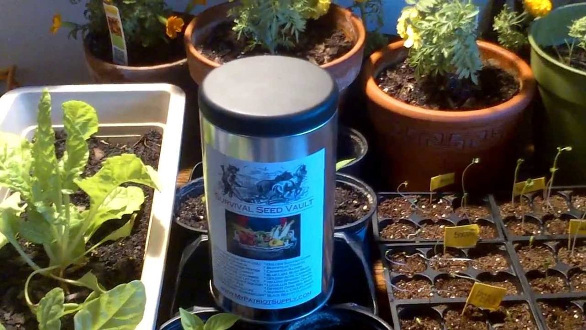 Container Gardening with the Survival Seed Vault from MyPatriotSupply.com