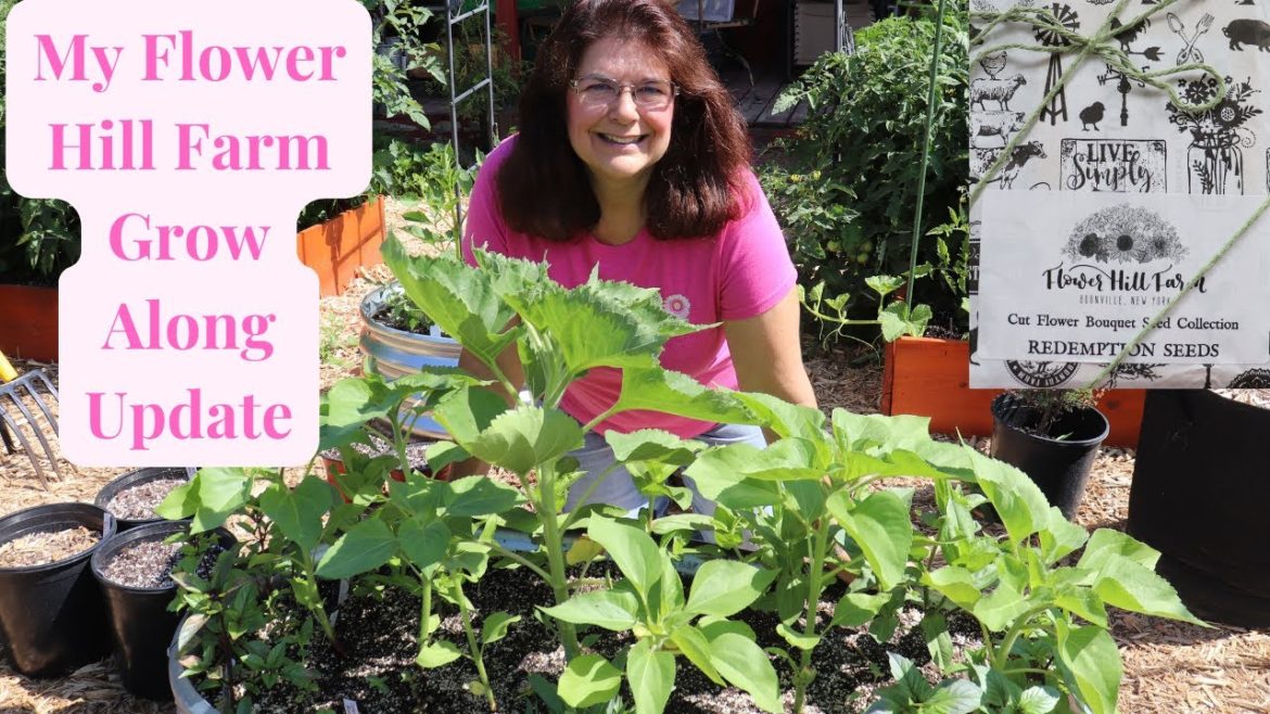Grow Along Flower Hill Farm July 2022 Update // Gardening at the Simongetti North