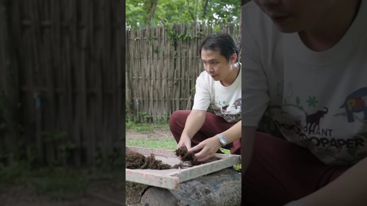 Would you use paper made out of elephant poop? #recycling #shorts Would you use paper made out of elephant poop? #recycling #shorts