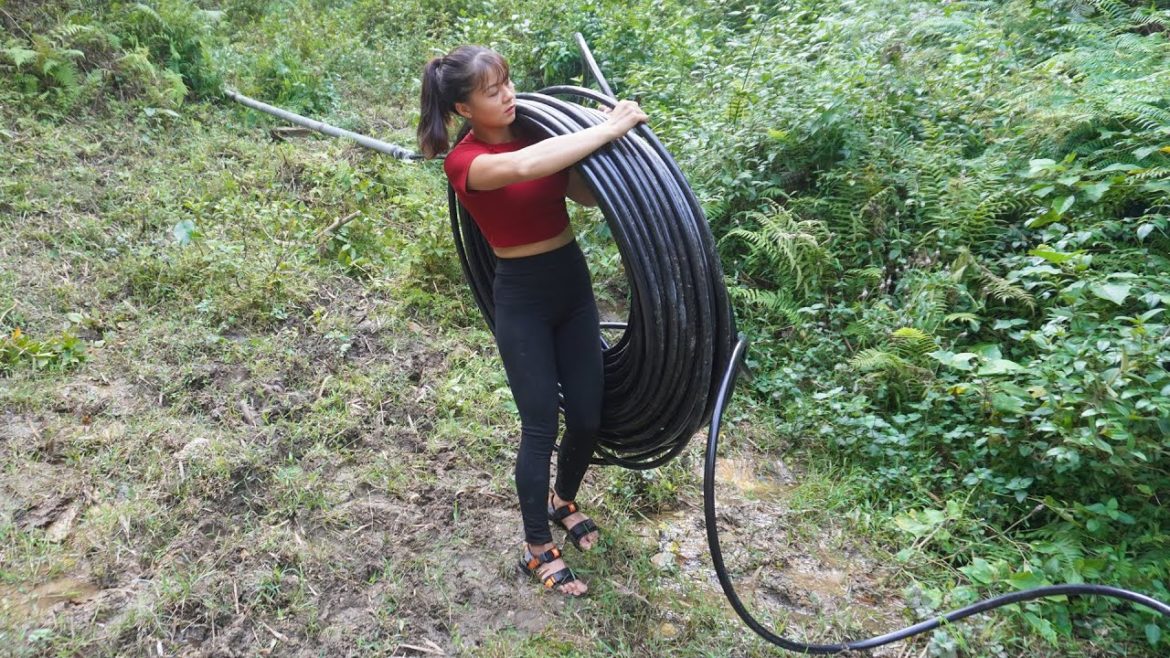 Find Water Source 1000m Away, Water Supply For Winter – OFF GRID | Free Bushcraft, Ep101 Find Water Source 1000m Away, Water Supply For Winter - OFF GRID | Free Bushcraft, Ep101