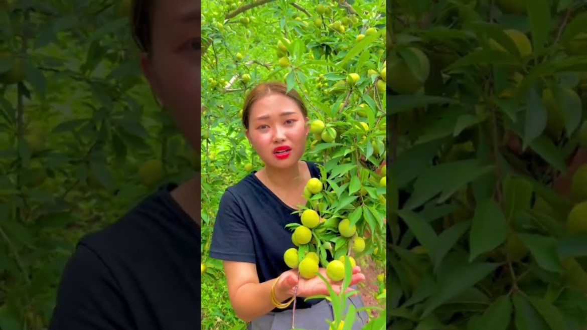 Green Plums garden #fruit #gardener