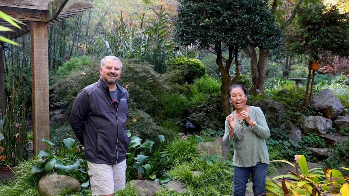 Such an Incredible Garden! Such an Incredible Garden!