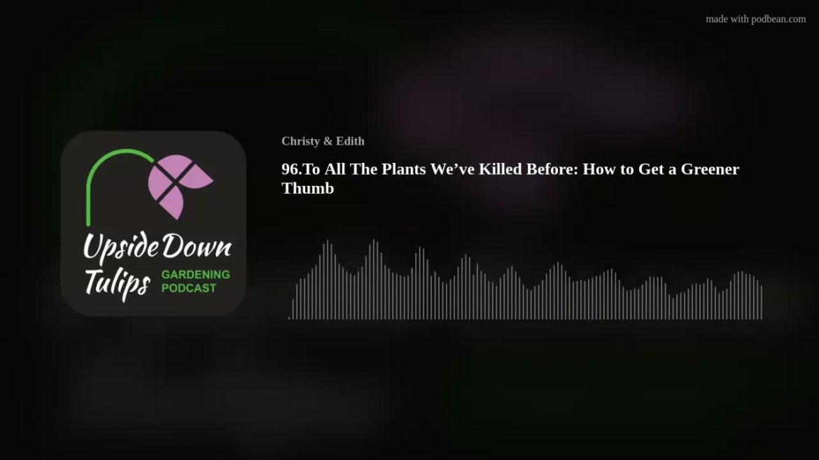 96.To All The Plants We’ve Killed Before: How to Get a Greener Thumb 96.To All The Plants We’ve Killed Before: How to Get a Greener Thumb