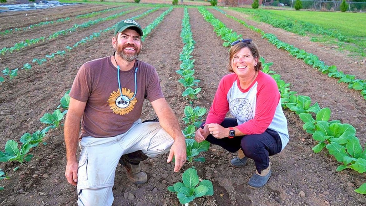 I Cannot Believe At All The Food This Garden Is Producing!(And We’re Adding More) I Cannot Believe At All The Food This Garden Is Producing!(And We’re Adding More)