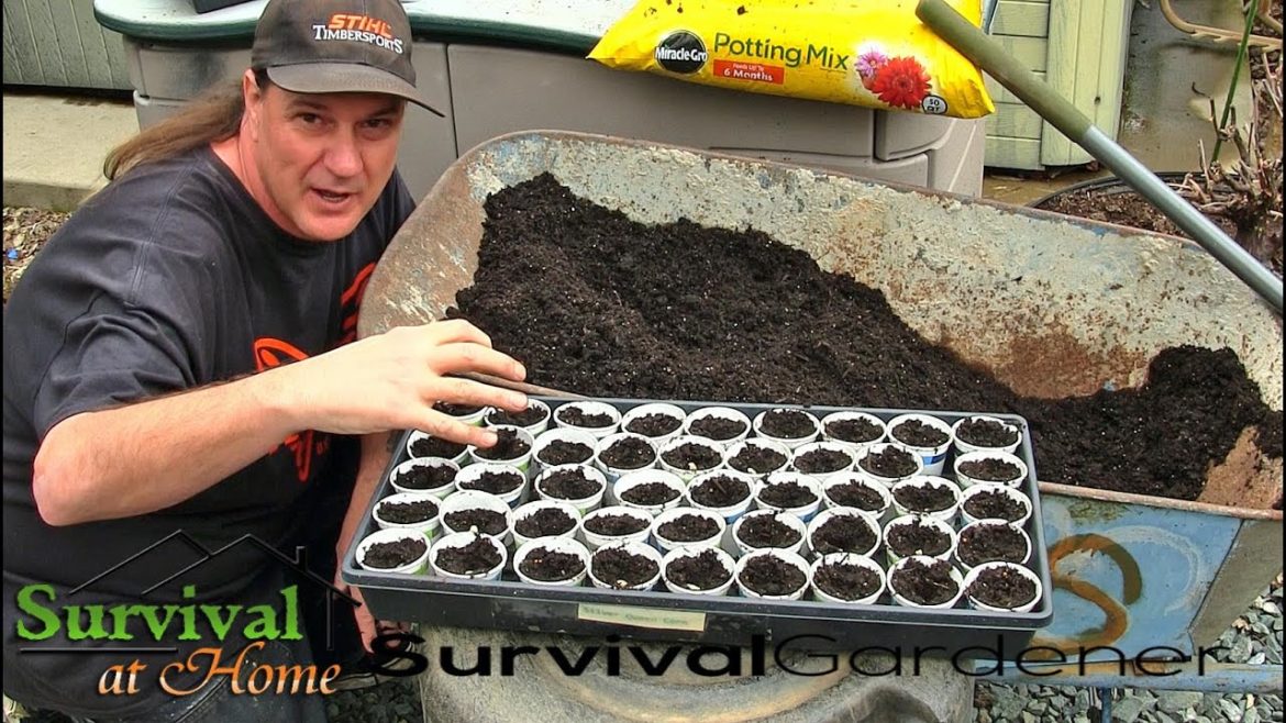 Survival Prepping Garden Tips To Start Seedlings DIY 2020