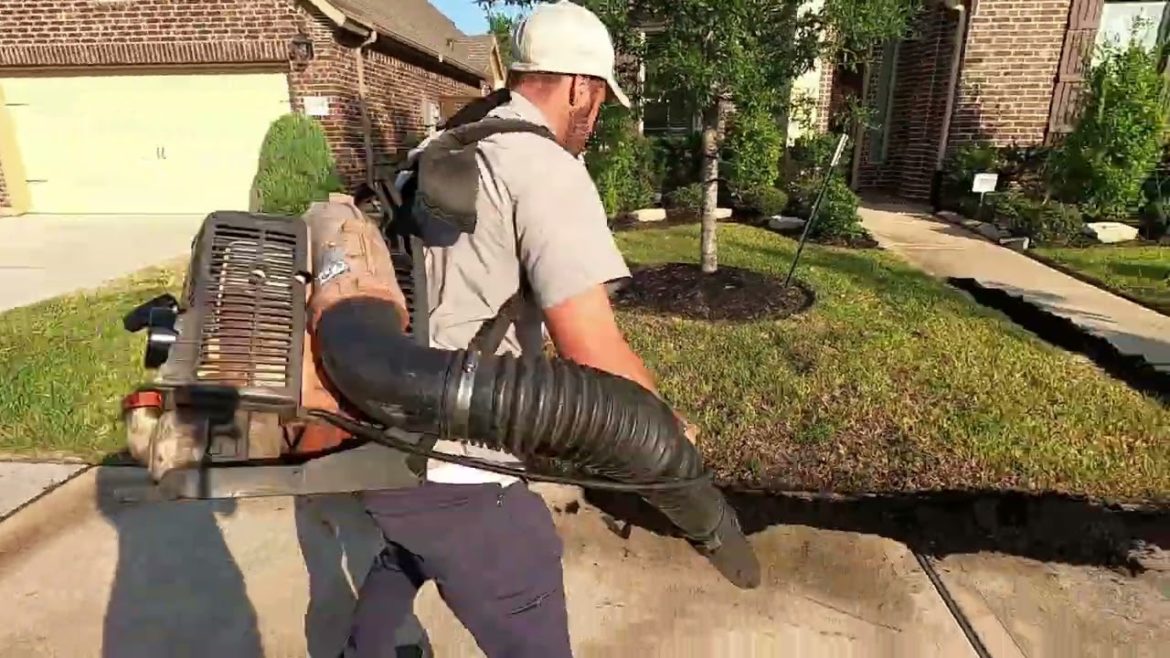 AN Unconventional Compost Topdressing