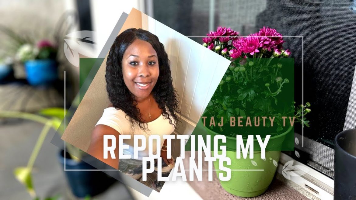 Gardening My Porch Space | Gardening Ideas for Beginners | Best Gardening Tips for Beginners ||