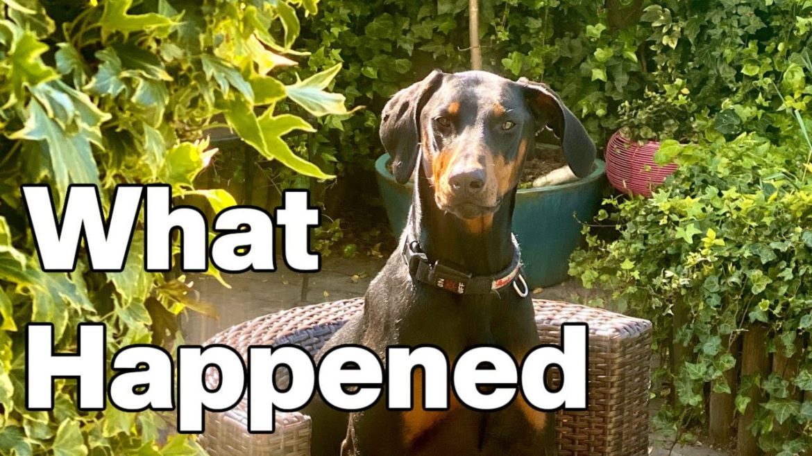 What Happened To Daisy