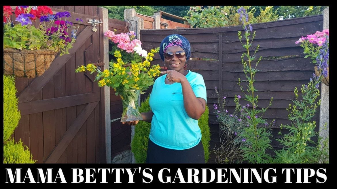 BASIC GARDENING TIPS: EP 5 -THE IMPORTANCE OF HOW TO POSITION YOUR PERENNIAL PLANTS