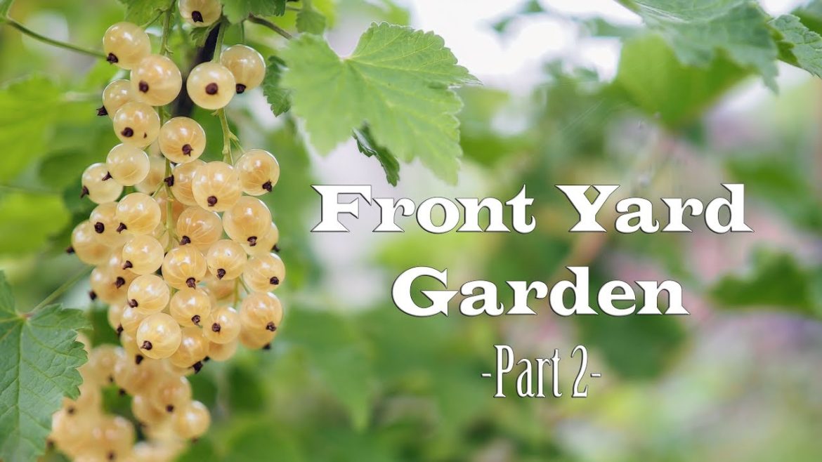 Front Yard Garden - Part 2