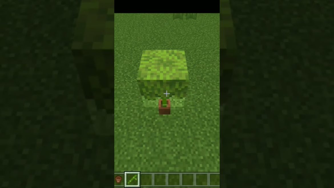 Minecraft: Garden Design | #shorts #minecraft Minecraft: Garden Design | #shorts #minecraft