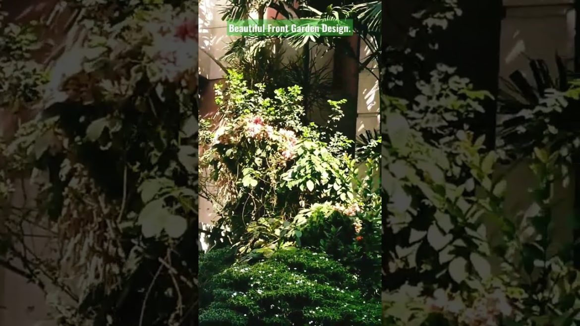 Beautiful Fronts Garden Design. Best environment for pollution free 🆓 House 🏠.