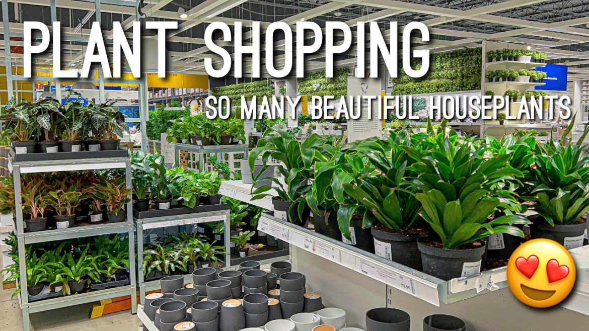 Going to IKEA & seeing what houseplants they have in stock! Lets go Plant Shopping! New Indoor Pots!