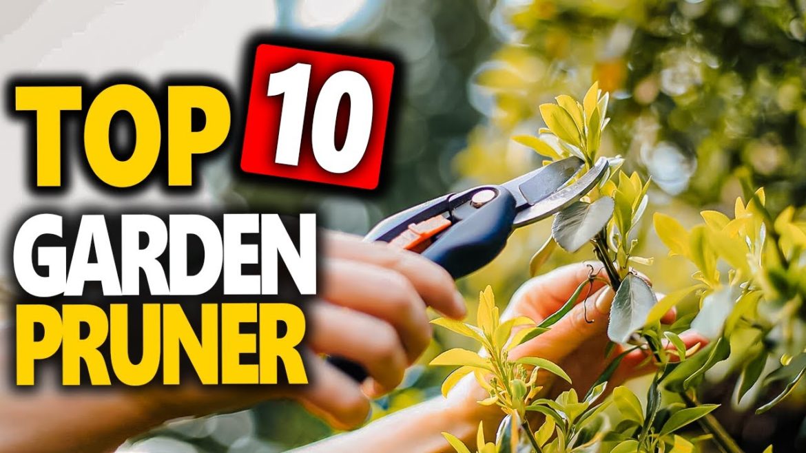 Best Garden Pruner - Top 10 Best Pruning Shears for Gardening