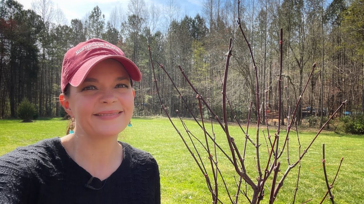 Planting My First Japanese  Maple | Gardening with Creekside