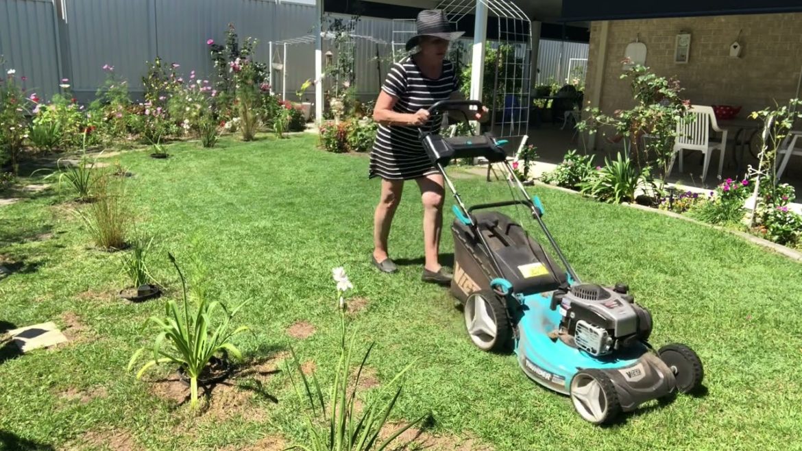 Mowing grass on the backyard in my Dream Garden. Kosze trawe z tylu domu w Ogrodku Marzen – 779 Mowing grass on the backyard in my Dream Garden. Kosze trawe z tylu domu w Ogrodku Marzen - 779