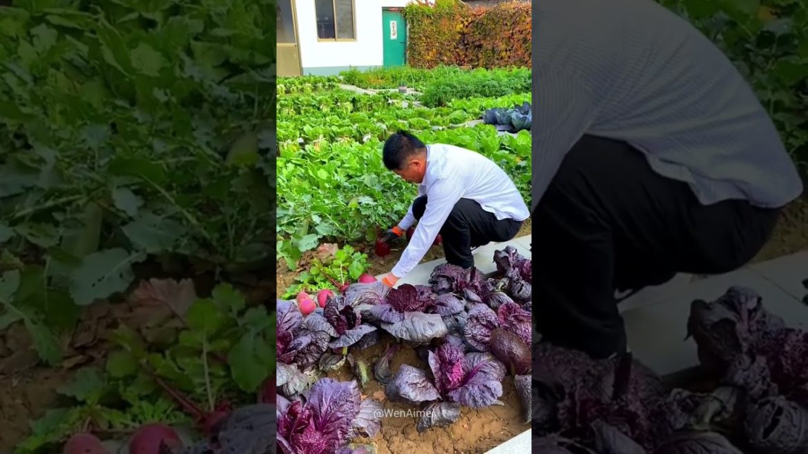 Beautiful Nature with Rural Life #shorts #naturalife #rurallife