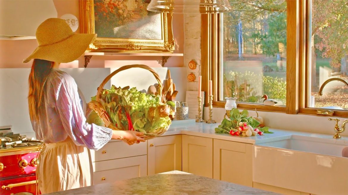 裏庭の家庭菜園👩‍🌾海老ドリアと目玉焼きガレット/田舎暮らし