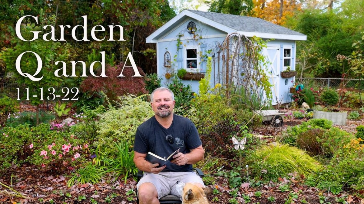 Great Garden Questions Answered - Transplanting, Filling Holes, Overwintering Container Plants