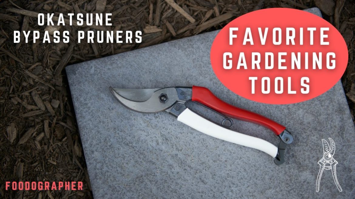 Favorite Gardening Tools - Okatsune Bypass Pruners Reviewed - Roses, Figs, Bonsai Secateurs