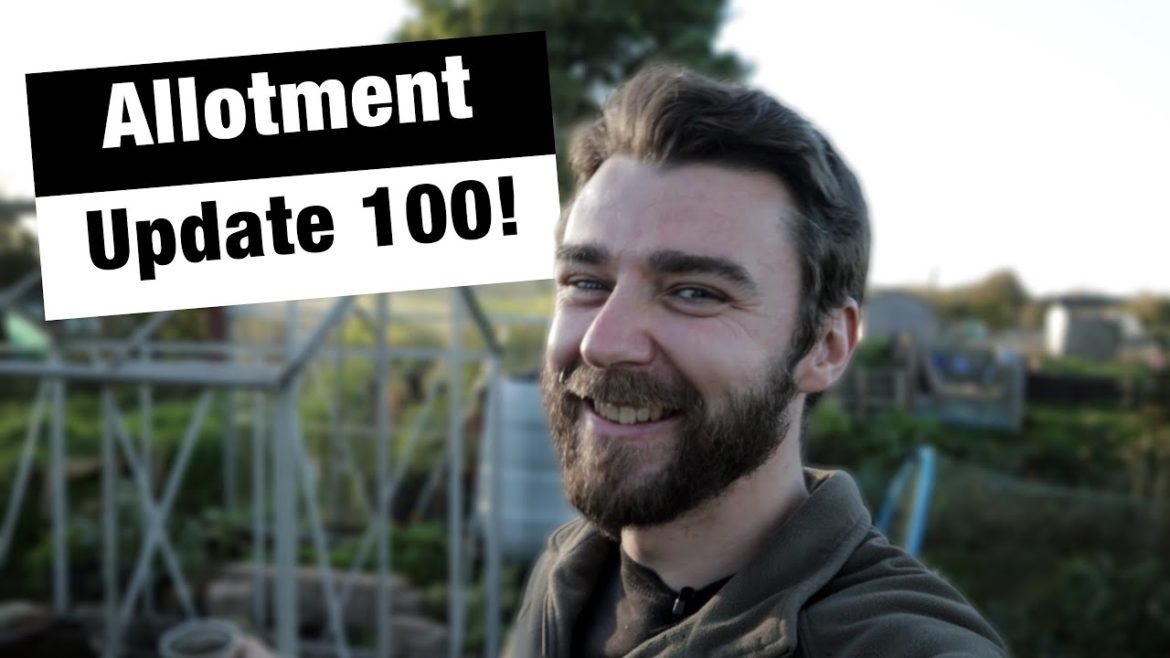 Greenhouse News! Update & Plans | JB's Allotment Diaries