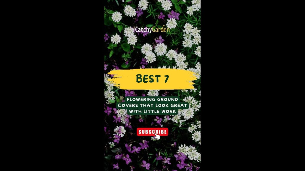 Best 7 Flowering Ground Covers That Look Great With Little Work π·π±// #short #shorts Best 7 Flowering Ground Covers That Look Great With Little Work π·π±// #short #shorts