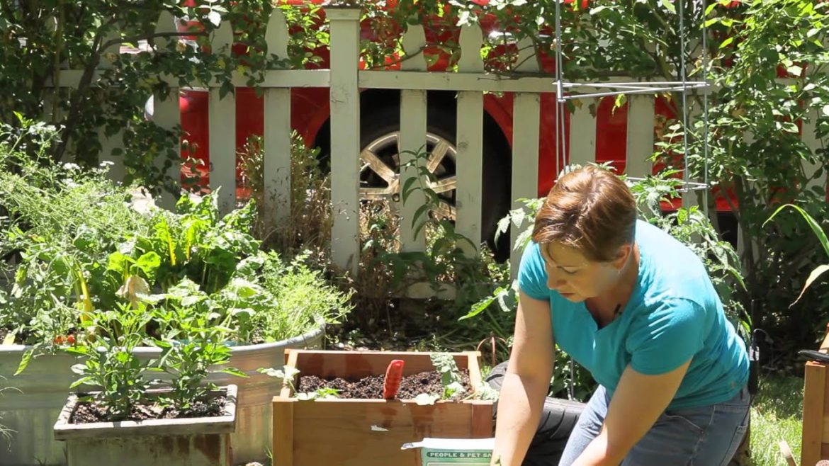 How to Plant Watermelons in a Container : Garden Space How to Plant Watermelons in a Container : Garden Space