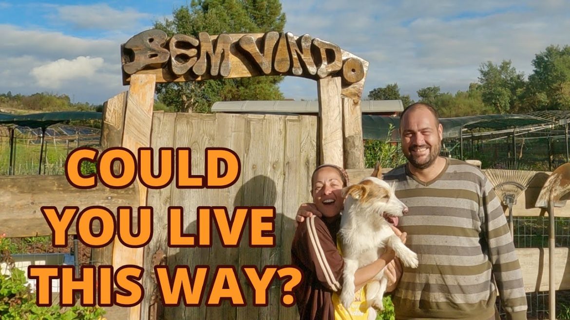 Homestead help and a remote Off Grid garden tour Homestead help and a remote Off Grid garden tour