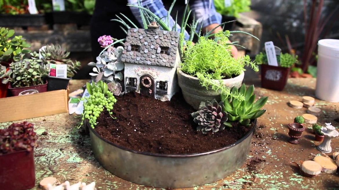 A Sweet Container Garden To Decorate As You Like A Sweet Container Garden To Decorate As You Like
