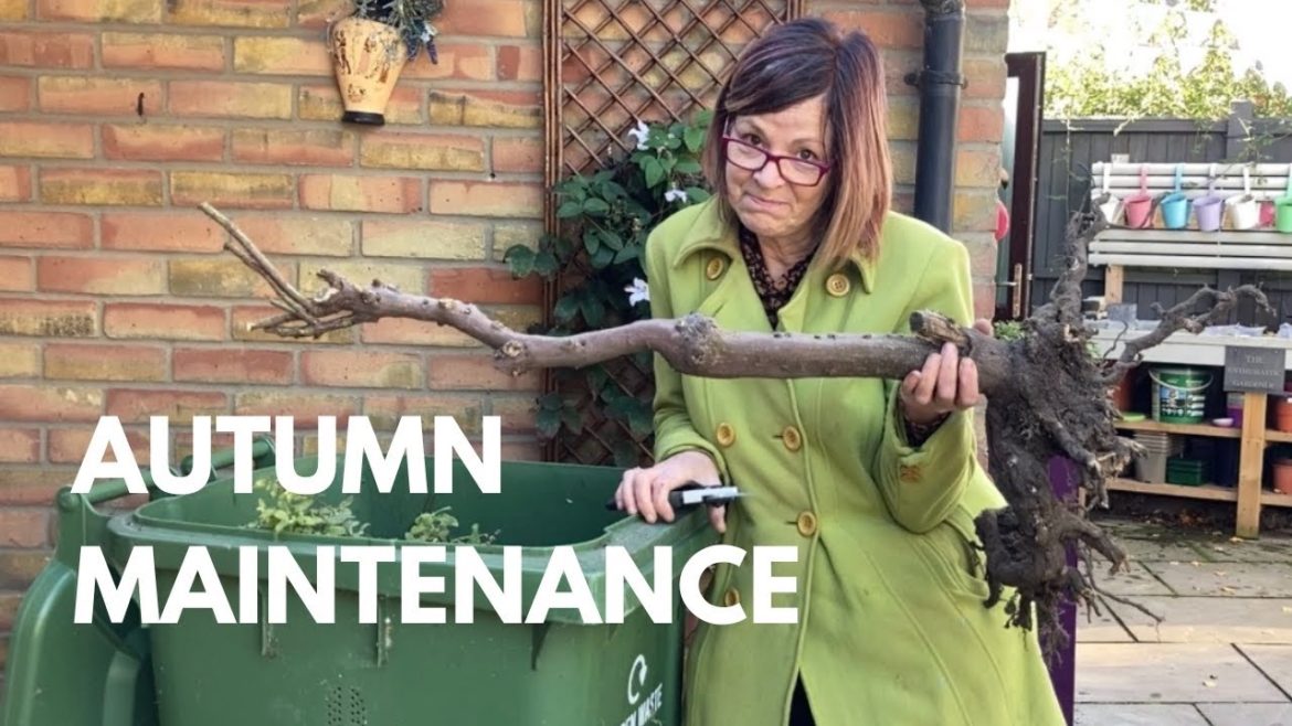 Autumn Planting & Transplanting & I’ve Killed One Of My Favourites 😱