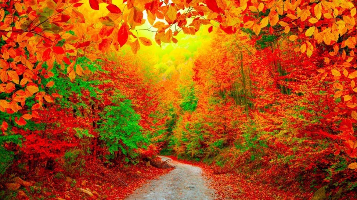 Beautiful Relaxing Hymns, Peaceful piano Music, “Autumn Colors Morning Sunrise” by Tim Janis Beautiful Relaxing Hymns, Peaceful piano Music, "Autumn Colors Morning Sunrise" by Tim Janis