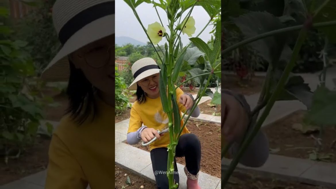 Beautiful Nature with Rural Life #shorts #naturalife #rurallife