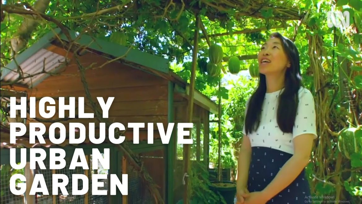 Highly productive urban farm / Sustainable garden  / Permaculture / Edible beauty / Fruit & Veggies