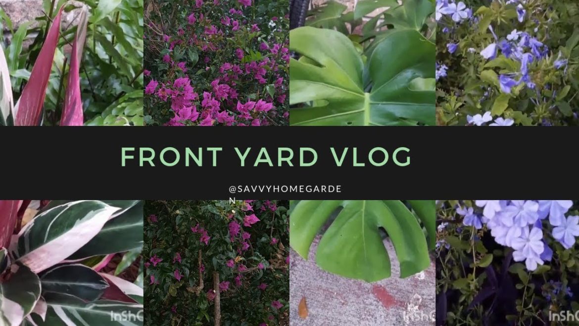 Front Yard Garden//SavvyHomeGarden
