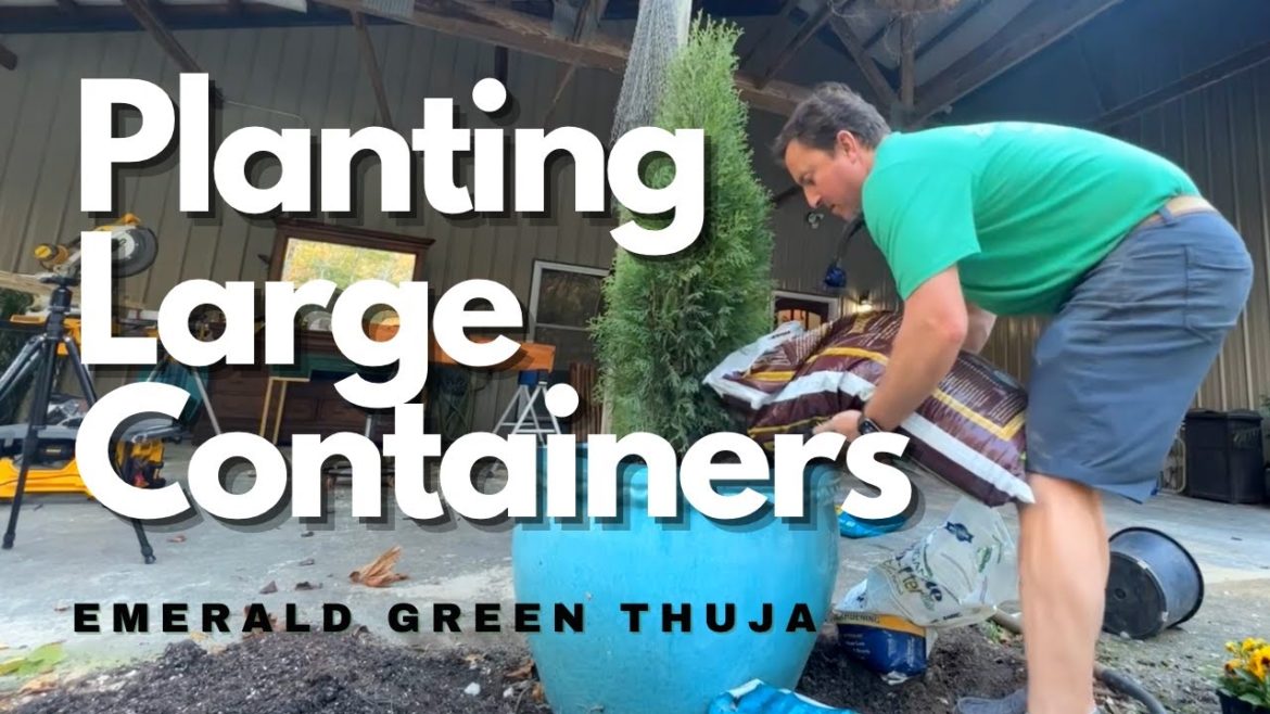 Planting Large Containers 🪴 Planting Large Containers 🪴