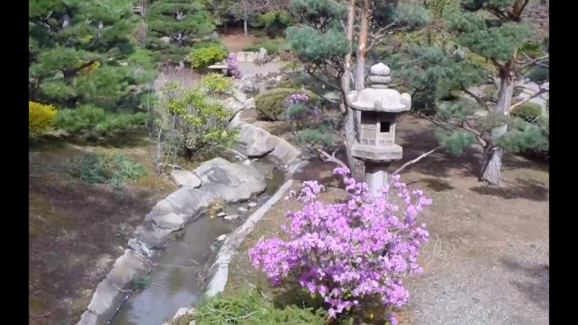 Japanese Garden is a Symbol of Life