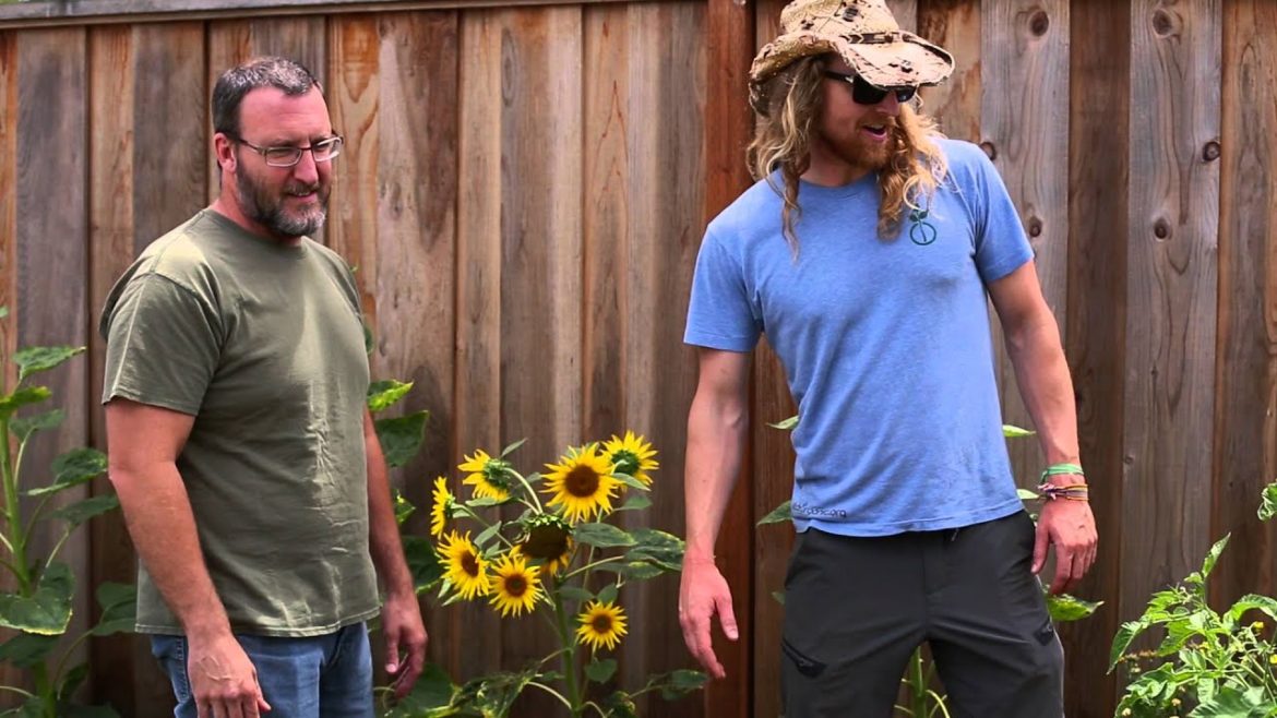 StartOrganic Client Testimonial - Review - Front Yard Vegetable Garden