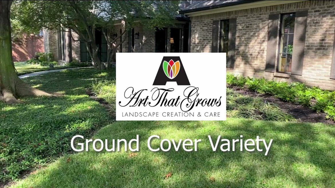 Art That Grows Front Yard Landscaping