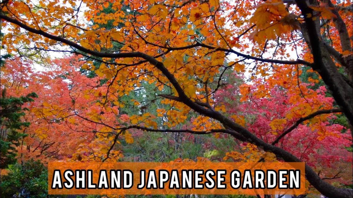 NEW Japanese Garden in Ashland, OR NEW Japanese Garden in Ashland, OR