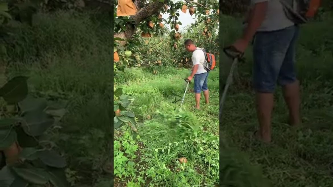 Best creative DIY items tools , Creative DIY Making Useful Items #Short #KKS