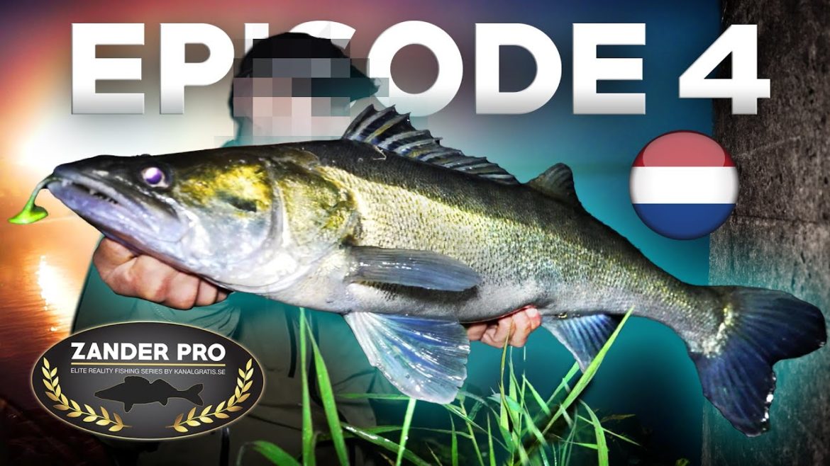 ZANDER PRO 2 - Aflevering 4 (Dutch Version)