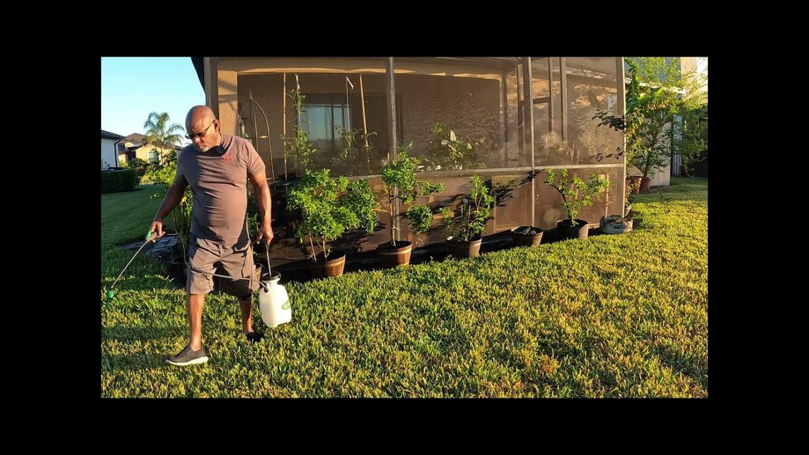 What A Typical Small Space Gardening Day Is What A Typical Small Space Gardening Day Is