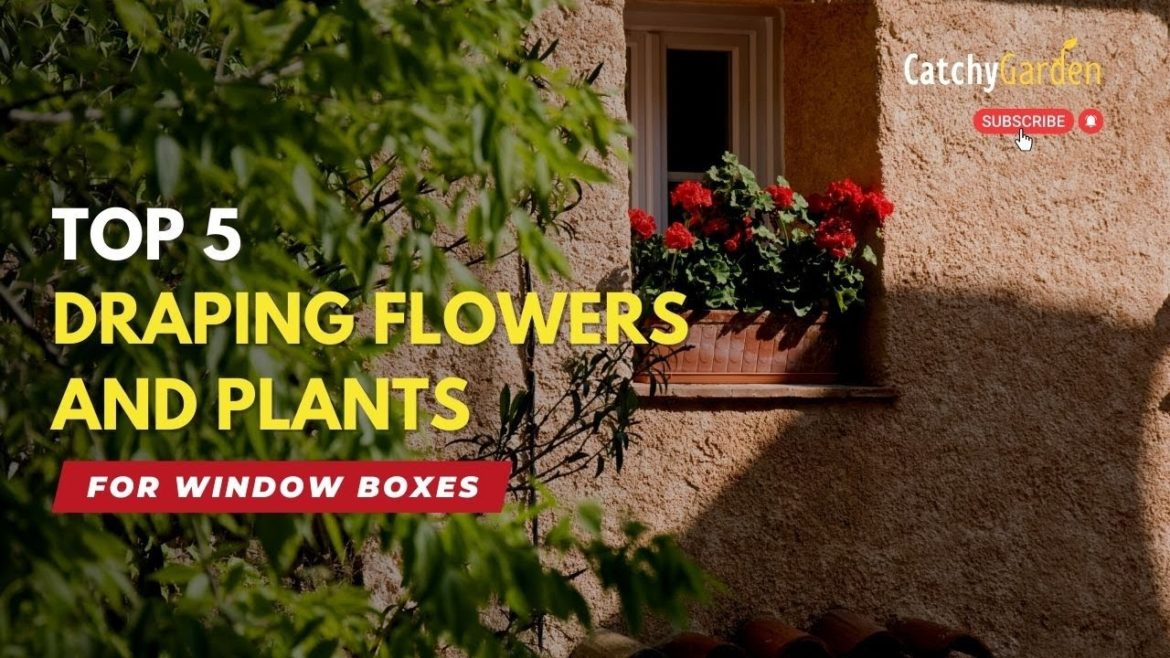 Best 7 Flowering Ground Covers That Look Great With Little Work 🌸🌱🌷