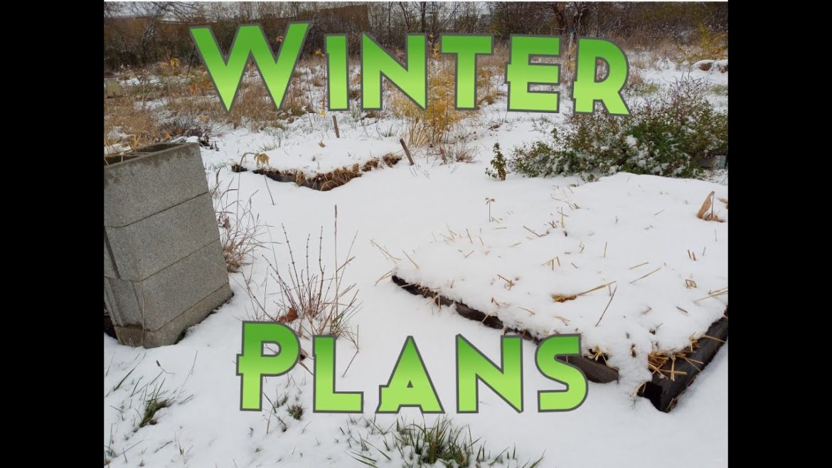 First Snow in Indiana   Early Winter Garden Plans