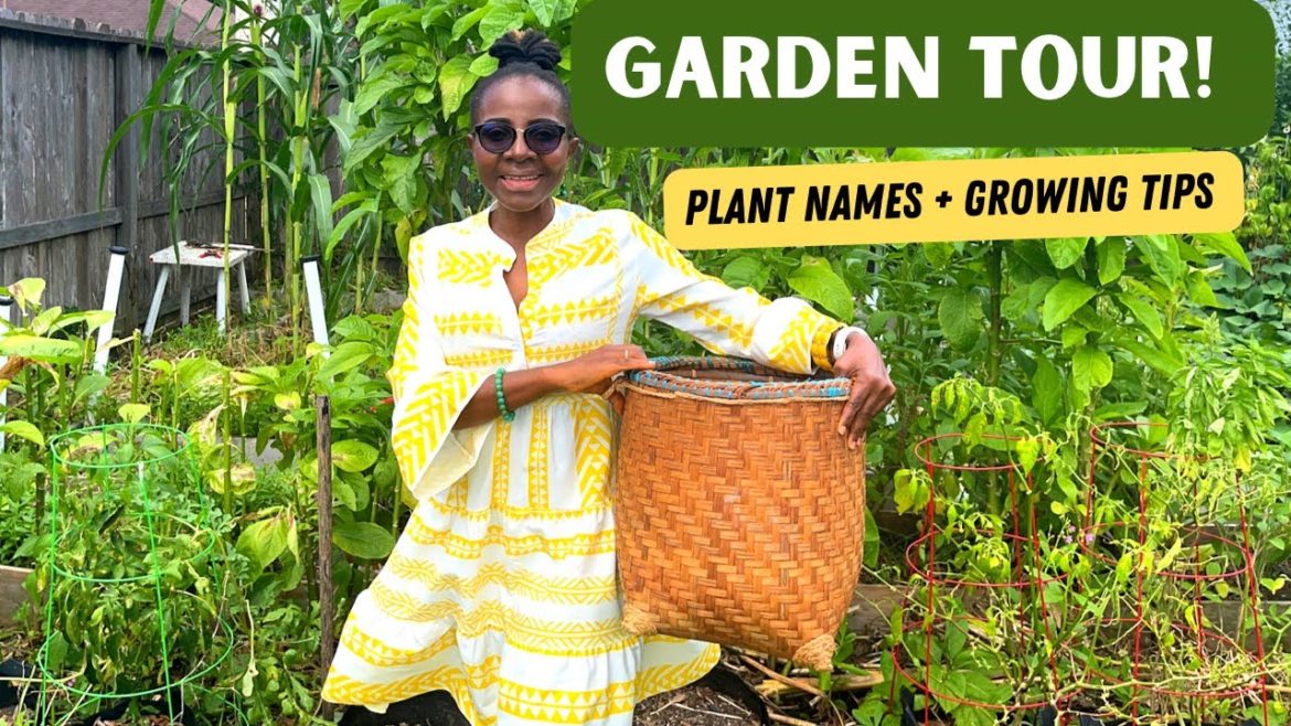 FULL Garden Tour & Gardening Tips (September 2022) Zone 9a Vegetable Garden FULL Garden Tour & Gardening Tips (September 2022) Zone 9a Vegetable Garden