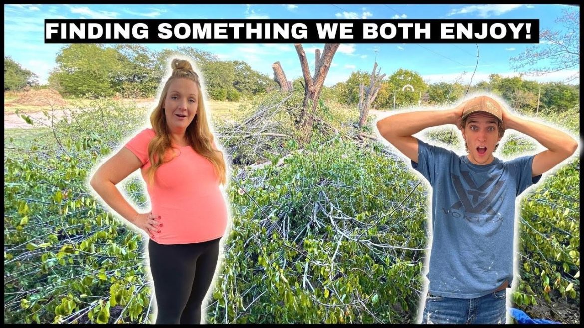 We came Home to a Disaster!