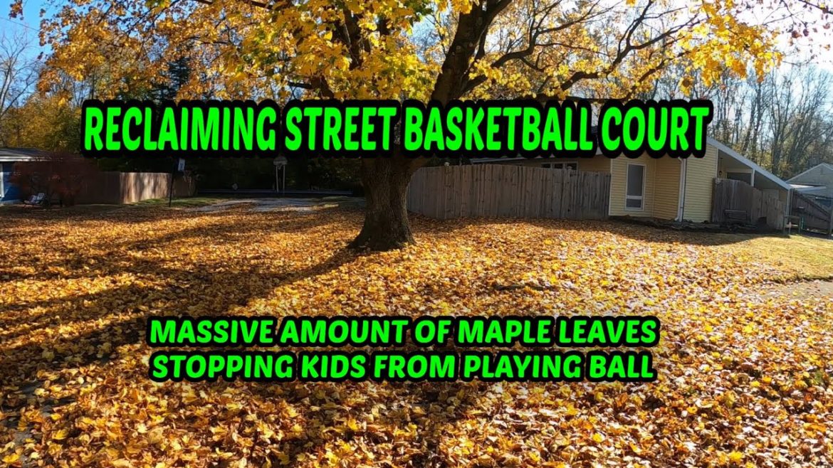 RECLAIMING STREET BASKETBALL COURT - MASSIVE AMOUNT OF MAPLE LEAVES STOPPING KIDS FROM PLAYING BALL