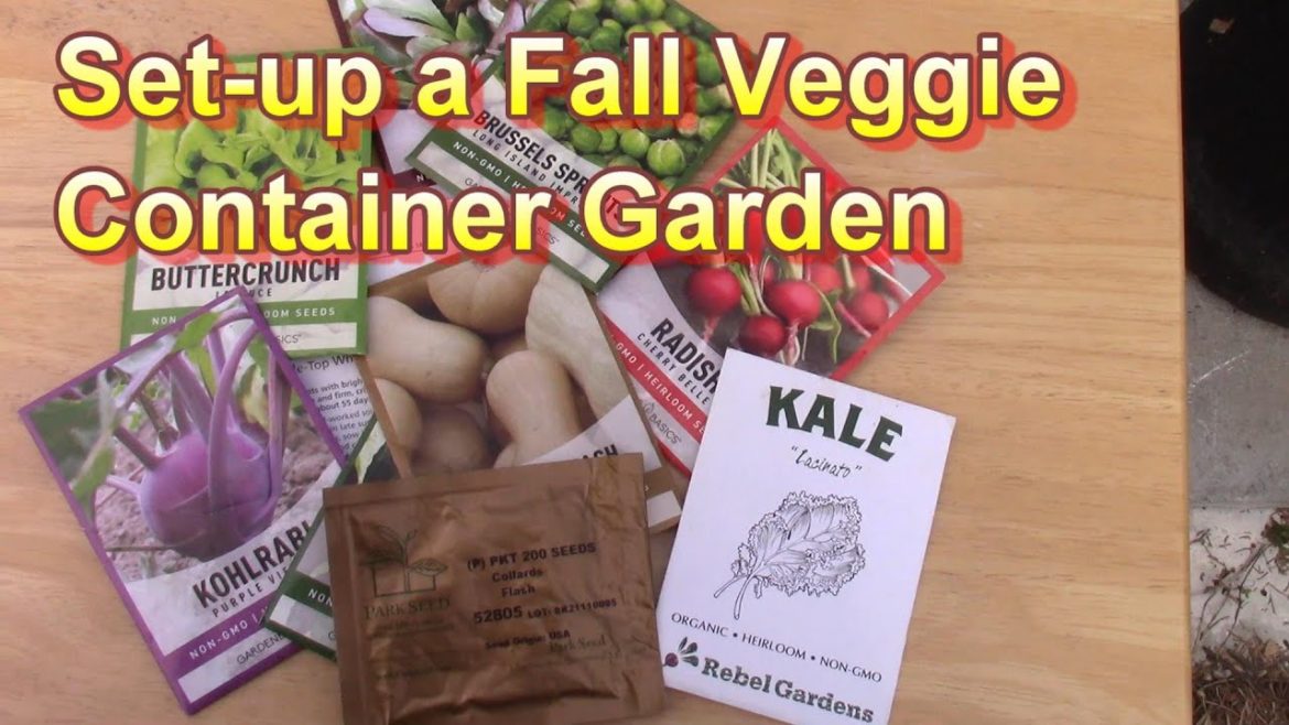 How to Set-up a Fall Veggie Container Garden at Home Now for a Cool Season Harvest